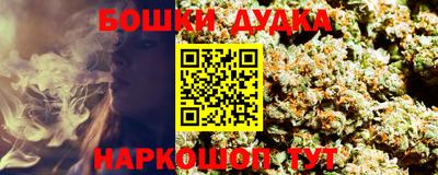 МДПВ Будённовск