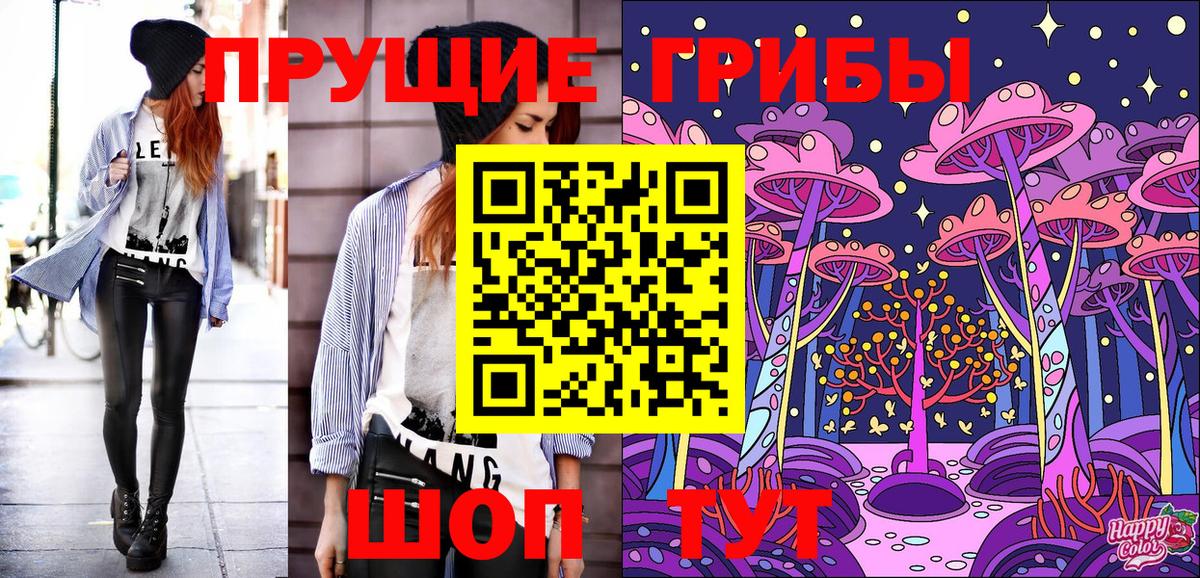 магазин    Гусиноозёрск  Галлюциногенные грибы мицелий  Псилоцибиновые грибы MAGIC MUSHROOMS 
