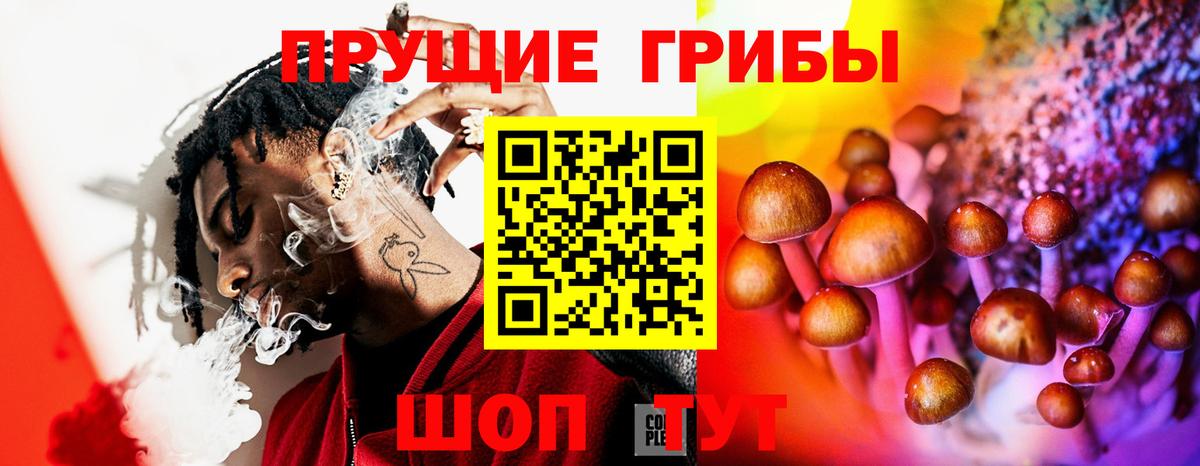 Псилоцибиновые грибы Magic Shrooms  Вход с VPN  Гусиноозёрск 